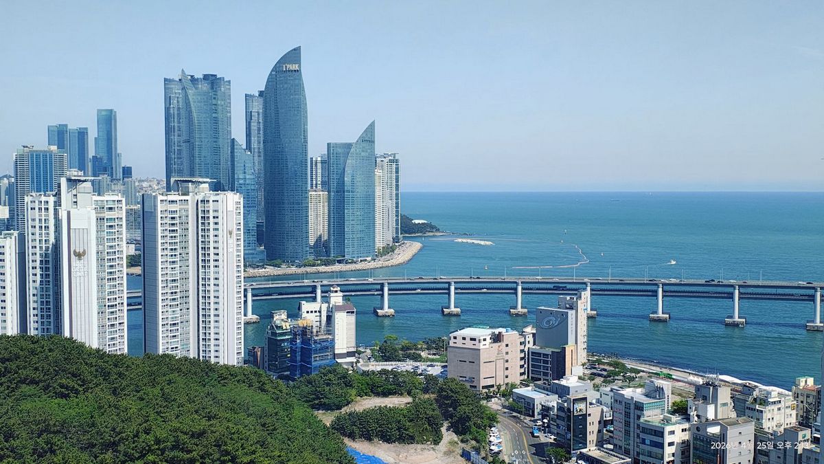 테넌바움294 세대 내부에서 바라본 조망